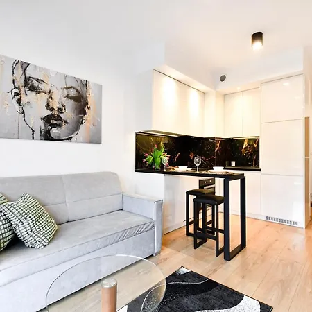 Rakowicka Apartment *