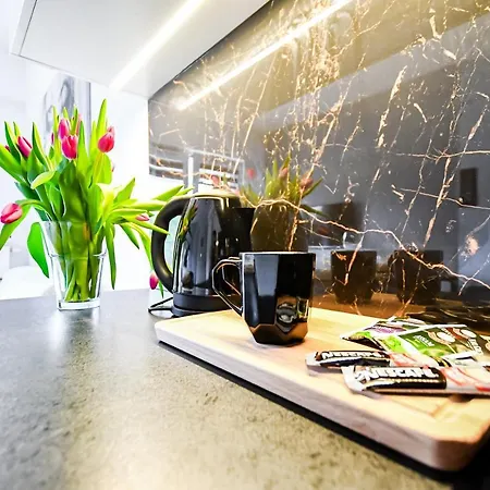 Appartement Rakowicka Krakau
